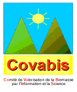 Boutique Covabis